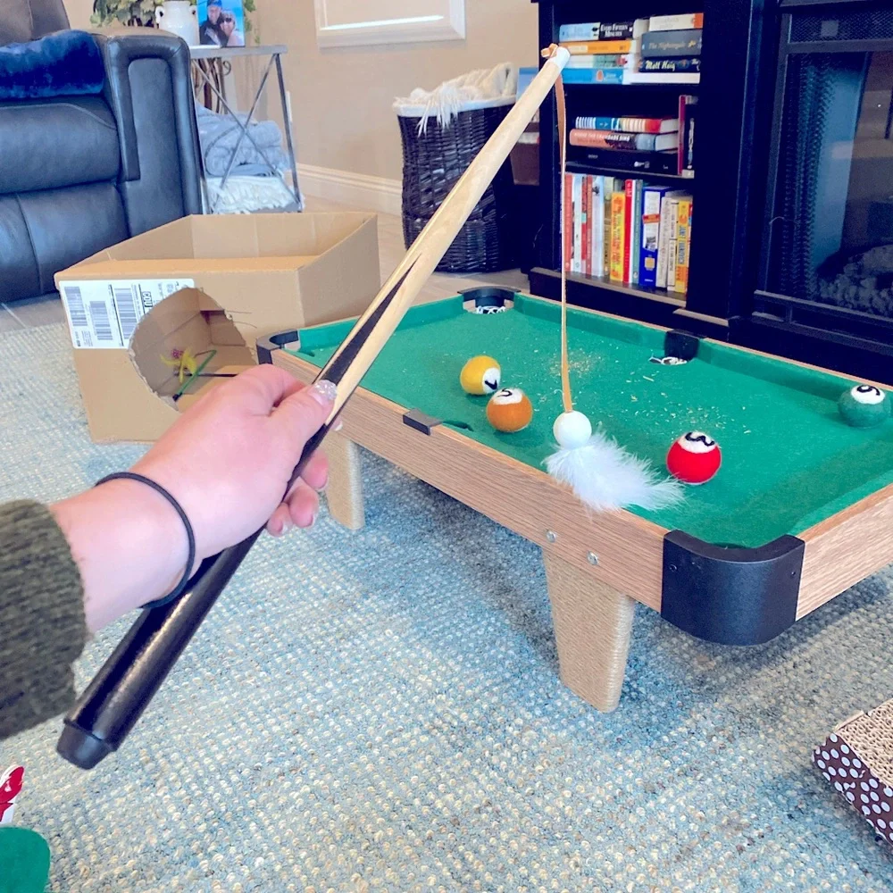 Cat Pool Table